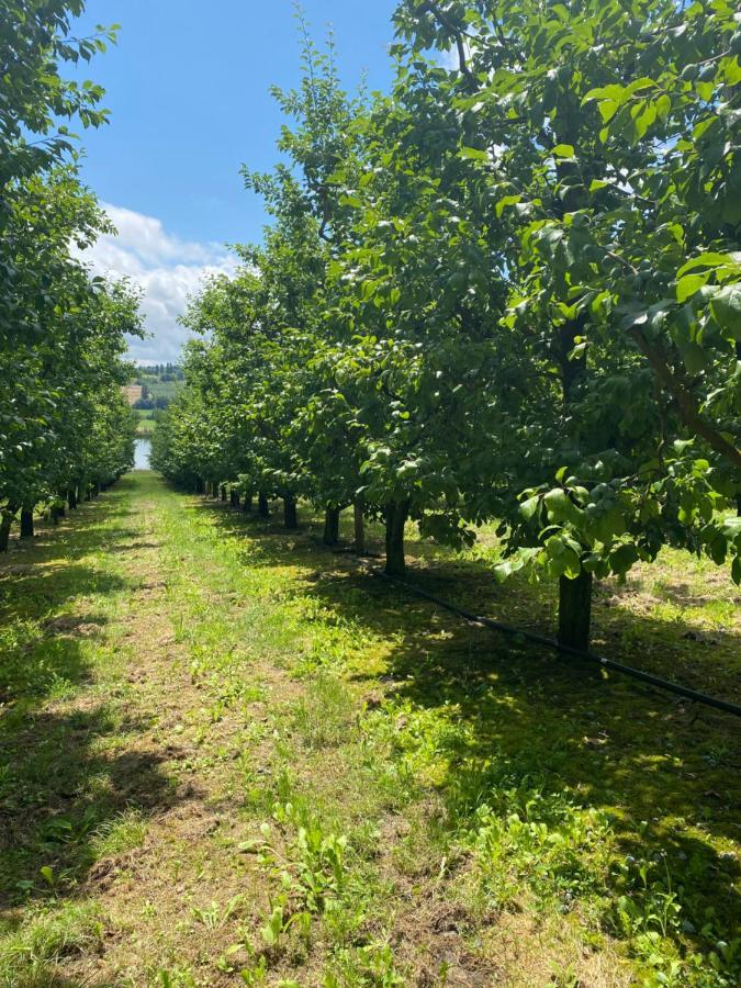maison 10 personnes à la campagne dans une ferme fruitière uniquement à la semaine Montbarla Extérieur photo
